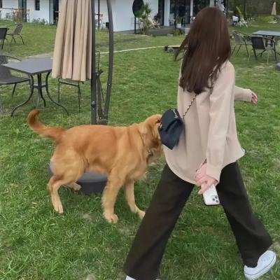 最后的维京人 海报